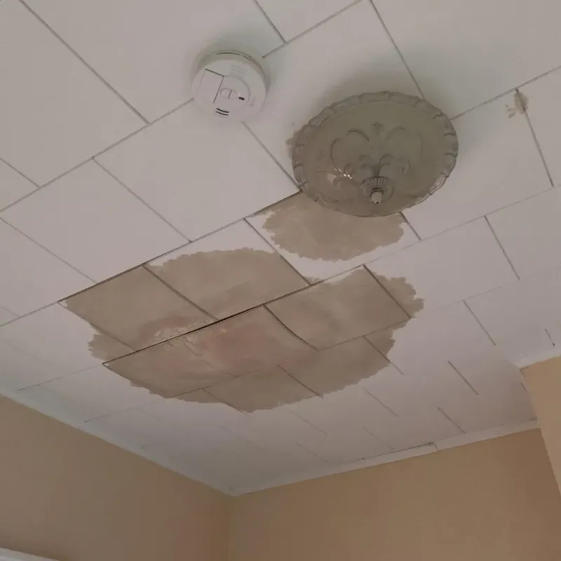 Ceiling Water Damage Repair in Raleigh, NC